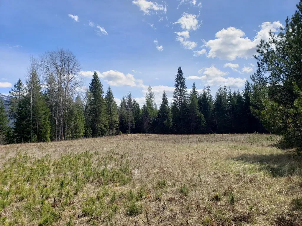 4340 Lake Creek Road Troy MT 59935