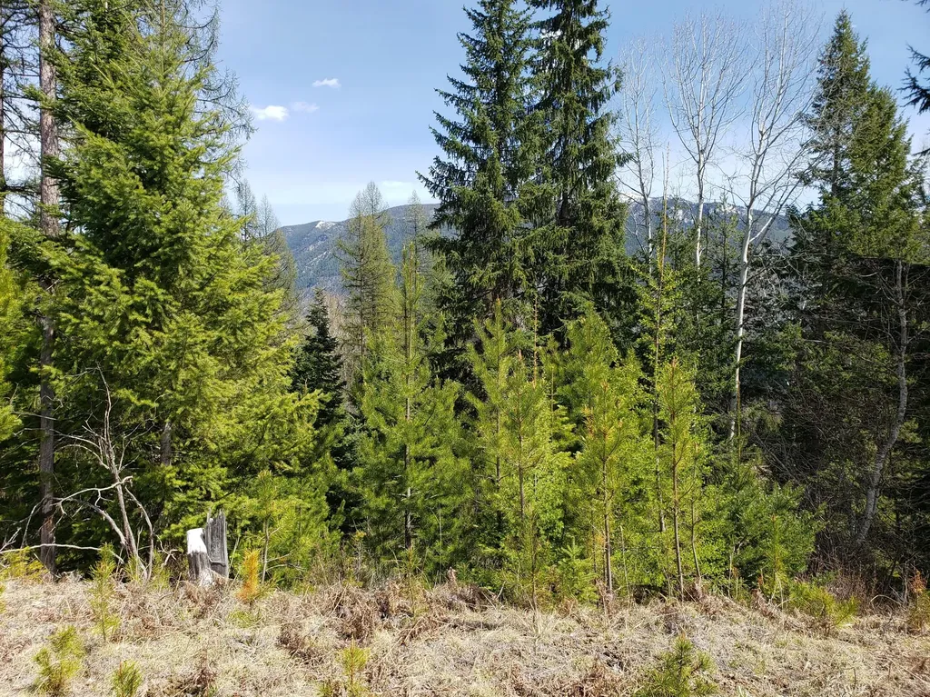 4340 Lake Creek Road Troy MT 59935