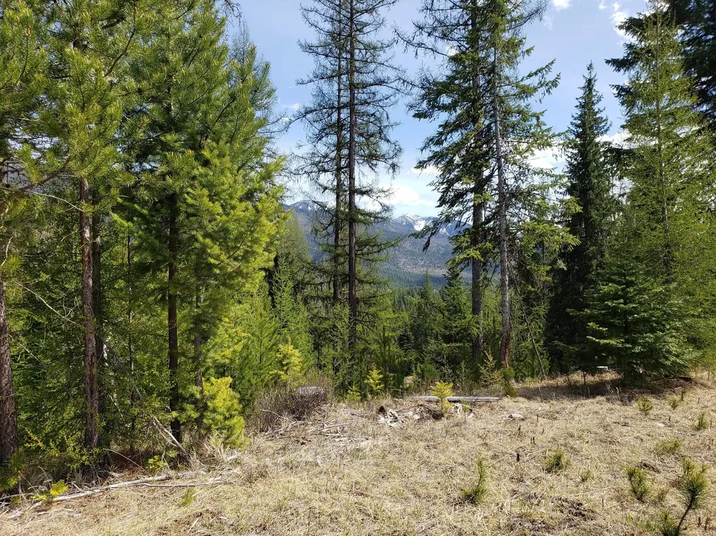 4340 Lake Creek Road Troy MT 59935