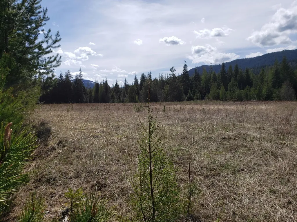 4340 Lake Creek Road Troy MT 59935