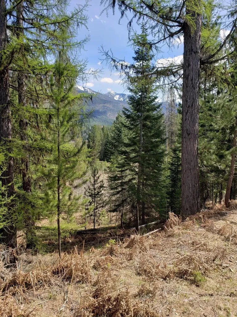 4340 Lake Creek Road Troy MT 59935