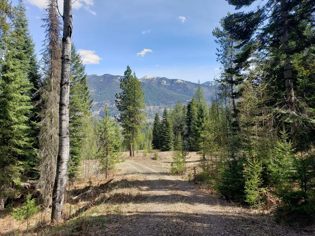 4340 Lake Creek Road Troy MT 59935
