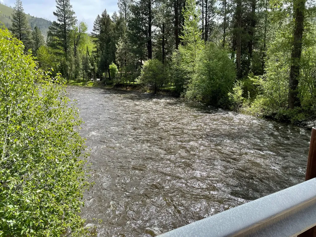 30 Williams Gulch Loop Philipsburg MT 59858