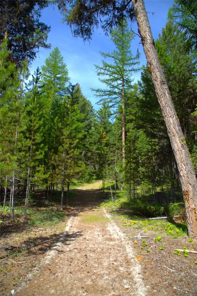 330 Wildebeest Lane Marion MT 59925