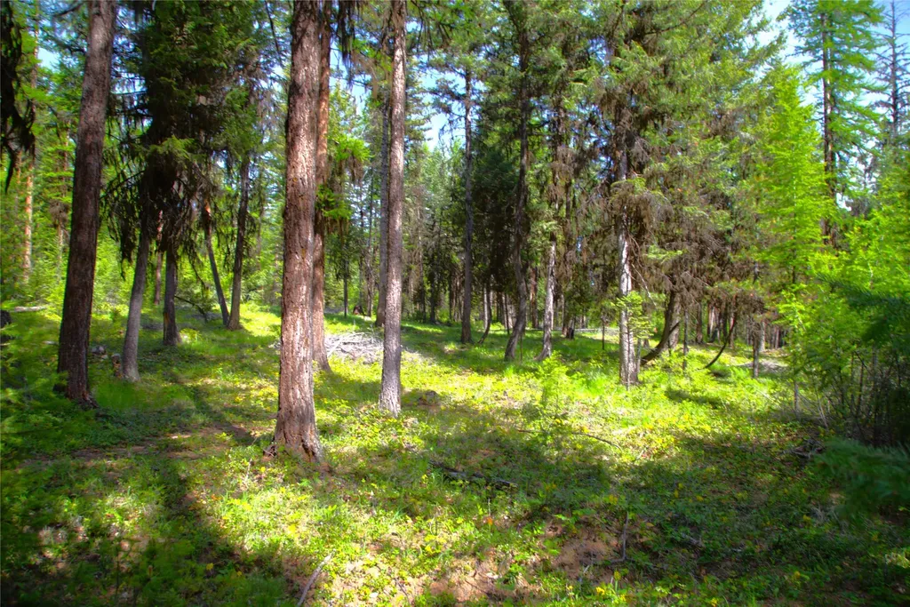 330 Wildebeest Lane Marion MT 59925
