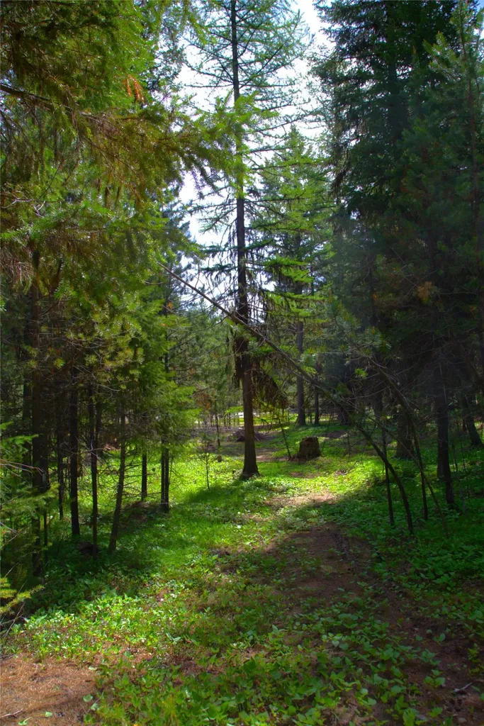 330 Wildebeest Lane Marion MT 59925