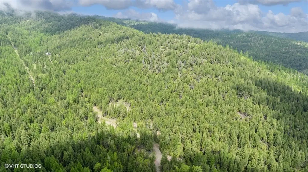 960 Old Coon Hollow Road Kalispell MT 59901
