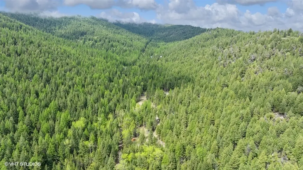 960 Old Coon Hollow Road Kalispell MT 59901
