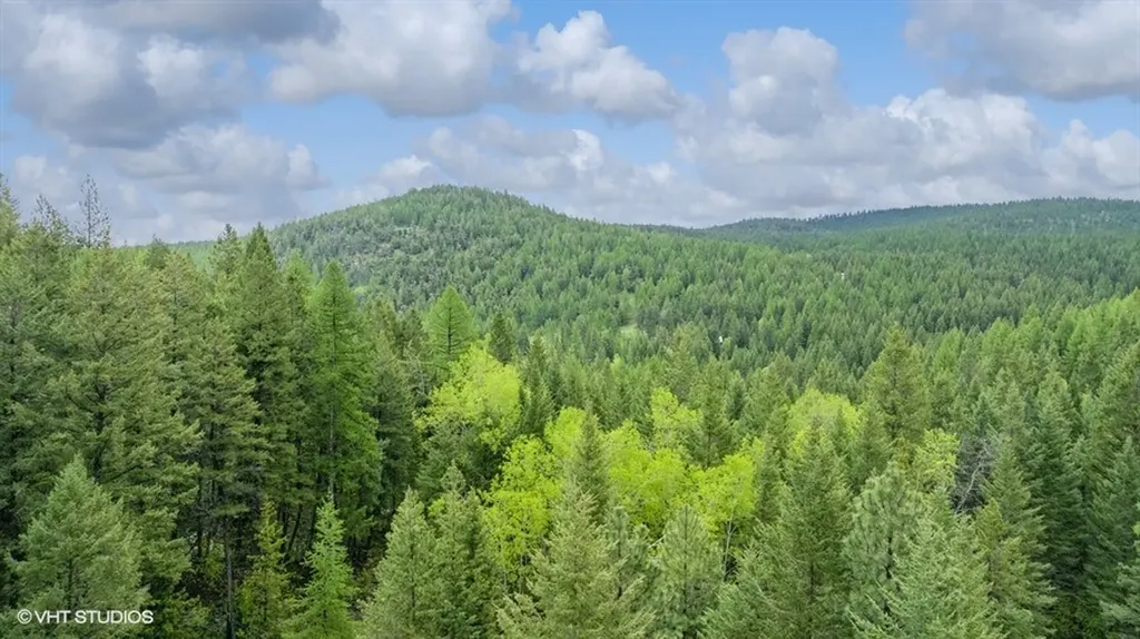 960 Old Coon Hollow Road Kalispell MT 59901