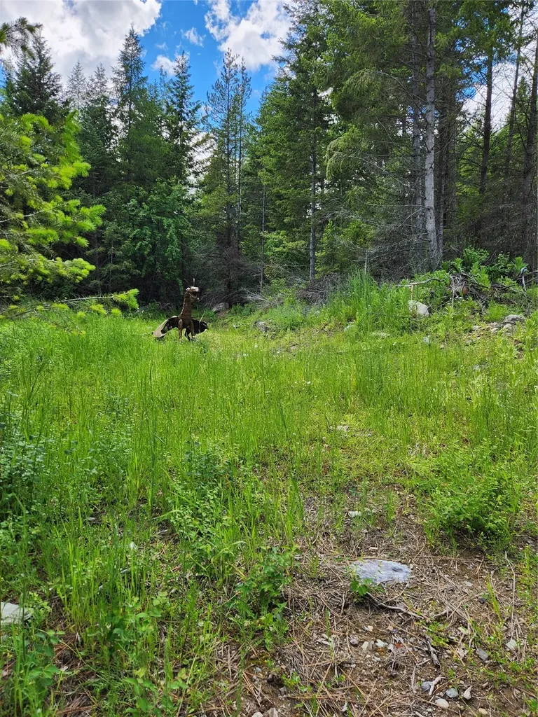 960 Old Coon Hollow Road Kalispell MT 59901