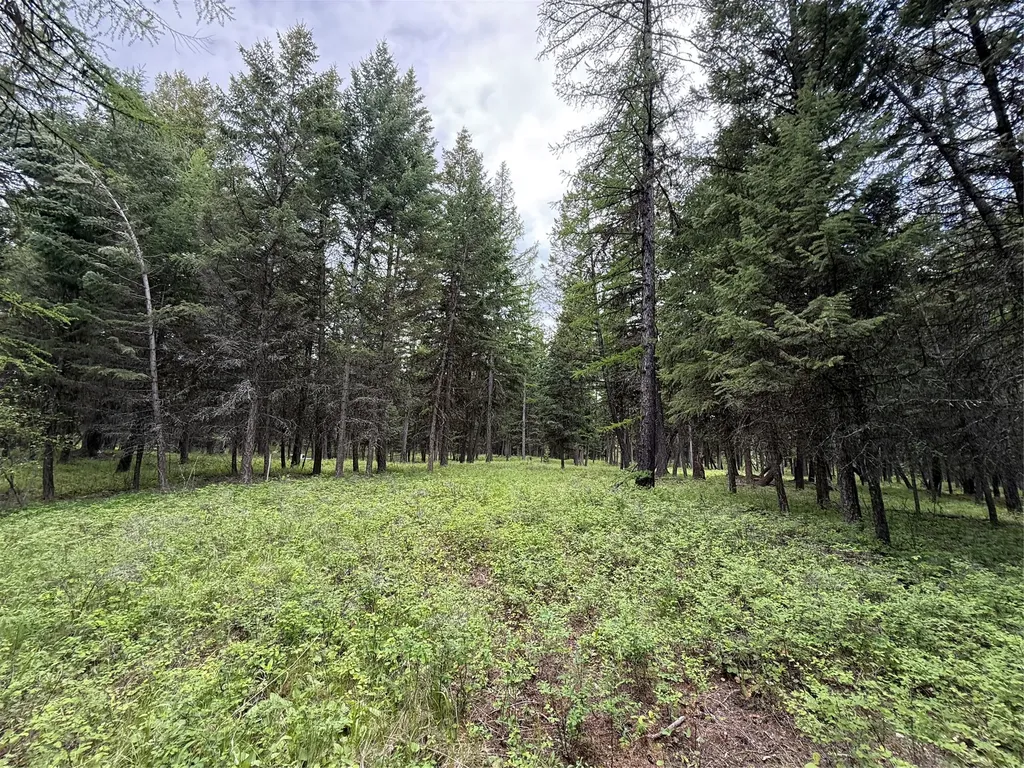 Nhn Lagoon Drive Trego MT 59934