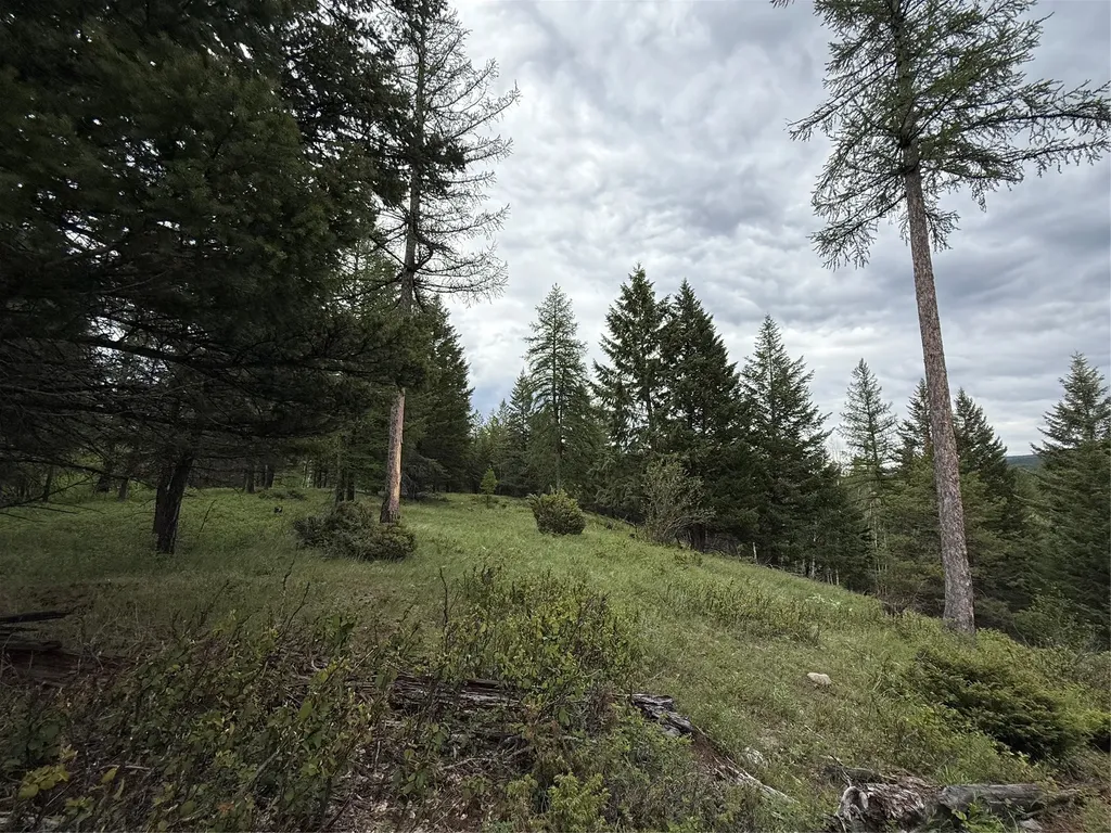 Nhn Lagoon Drive Trego MT 59934