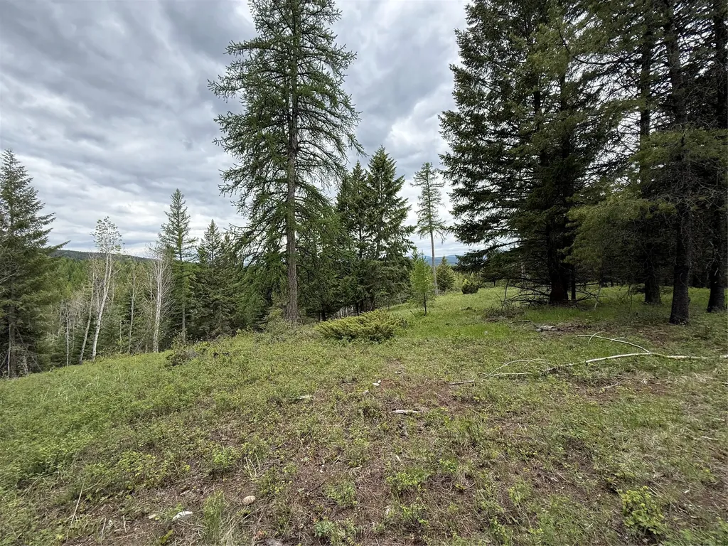 Nhn Lagoon Drive Trego MT 59934