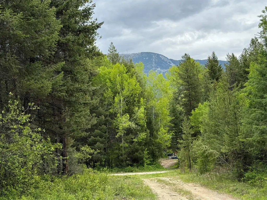 Nhn Lagoon Drive Trego MT 59934