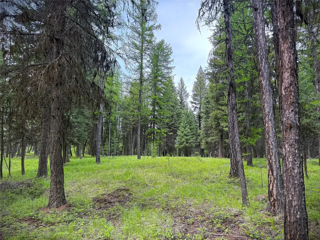 Nhn Lagoon Drive Trego MT 59934