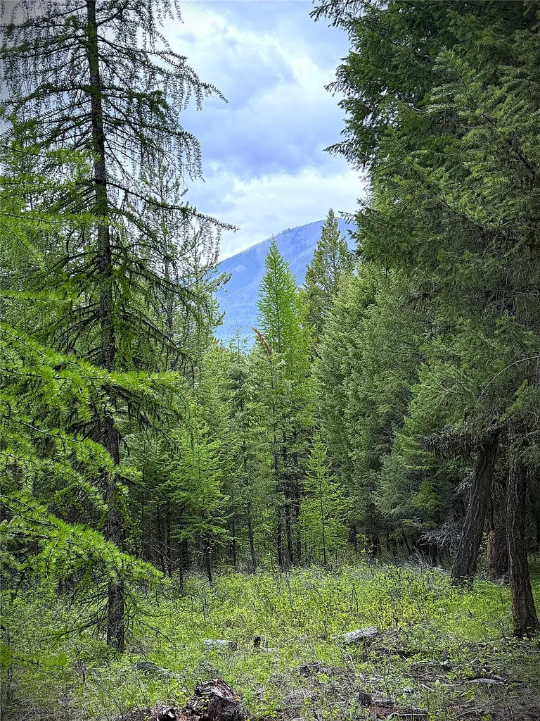Nhn Lagoon Drive Trego MT 59934