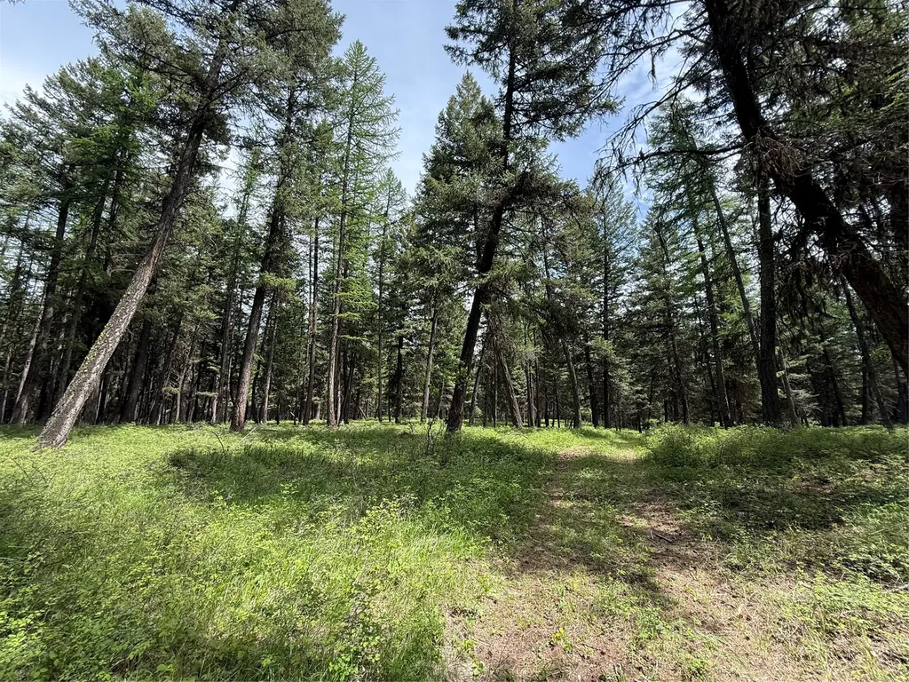 Nhn Lagoon Drive Trego MT 59934