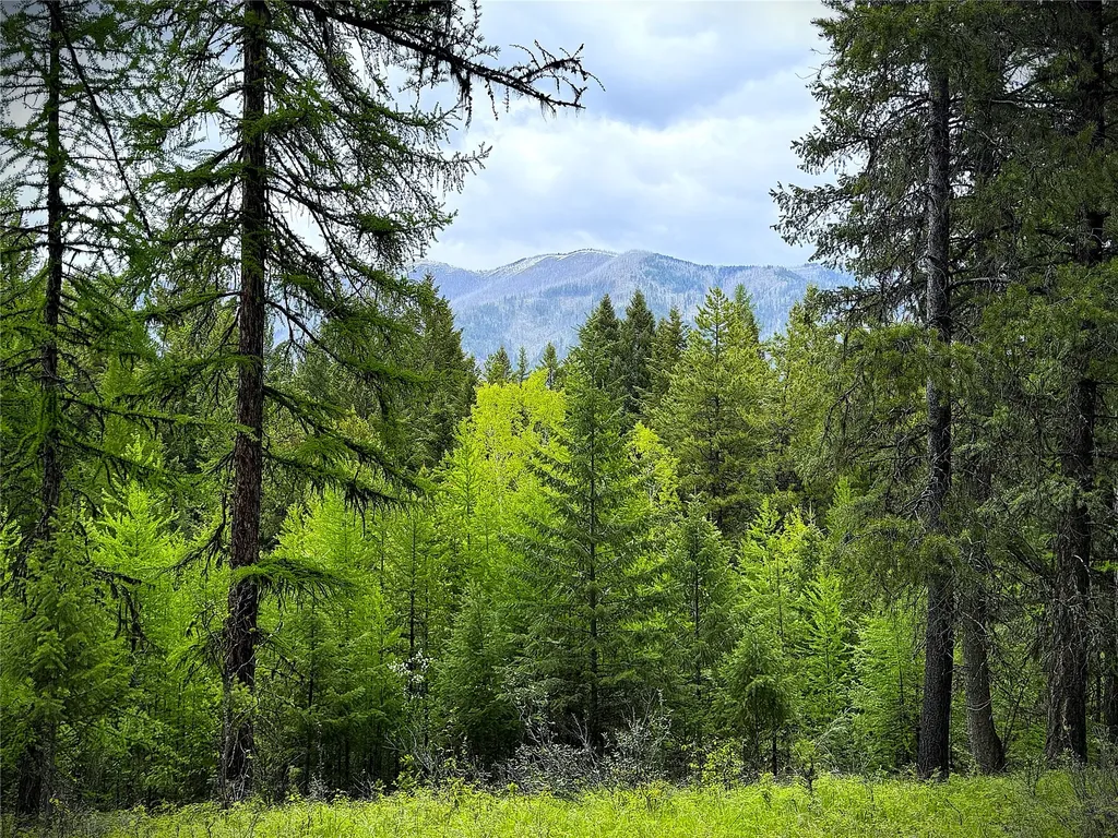 Nhn Lagoon Drive Trego MT 59934