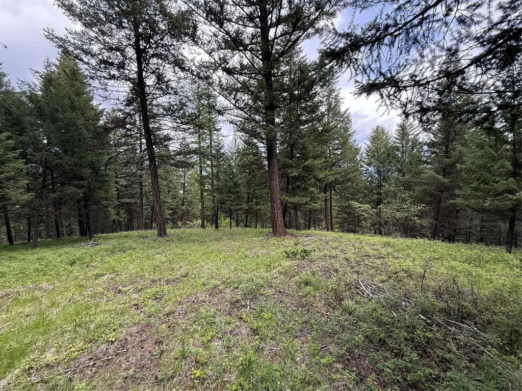 Nhn Lagoon Drive Trego MT 59934
