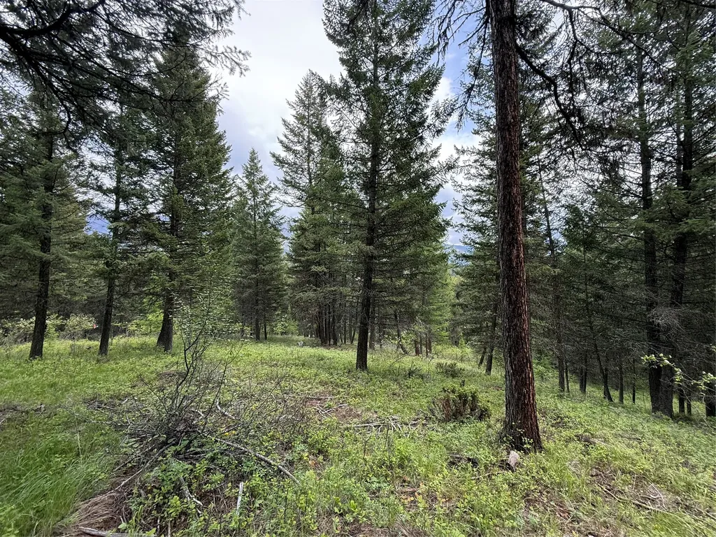 Nhn Lagoon Drive Trego MT 59934