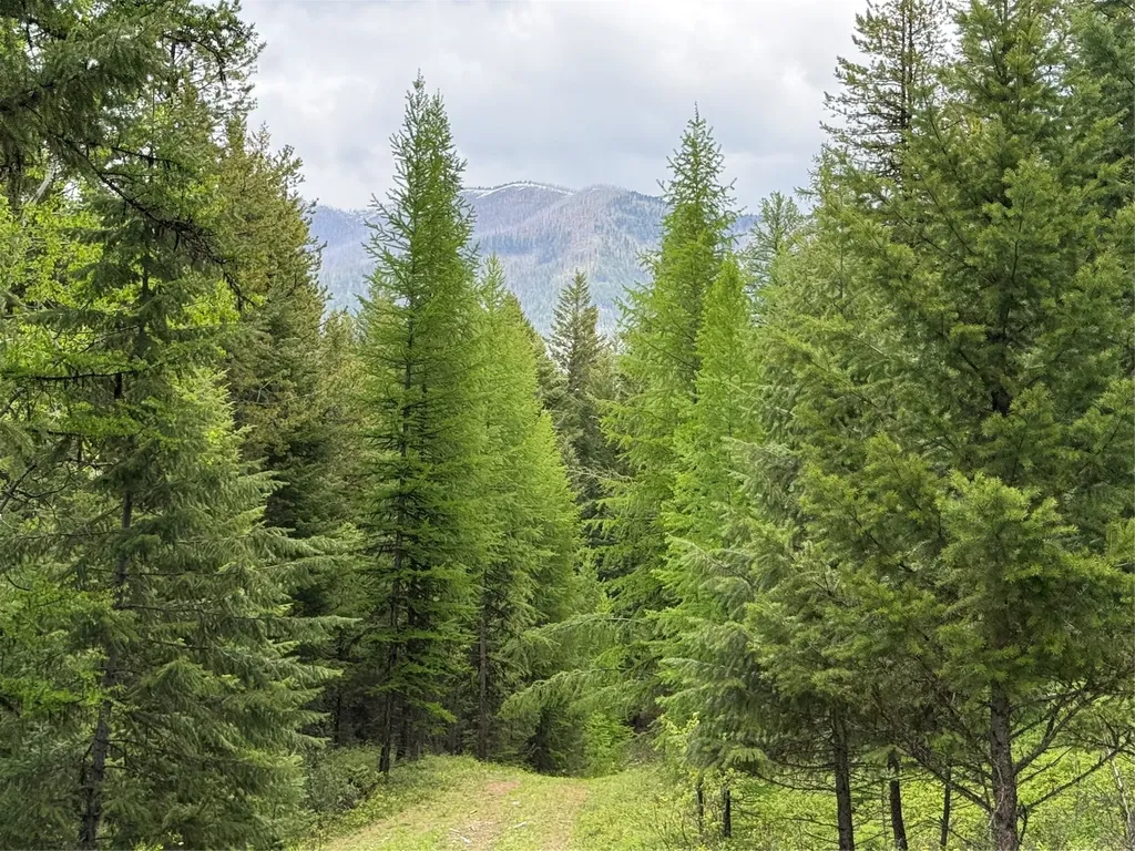Nhn Lagoon Drive Trego MT 59934
