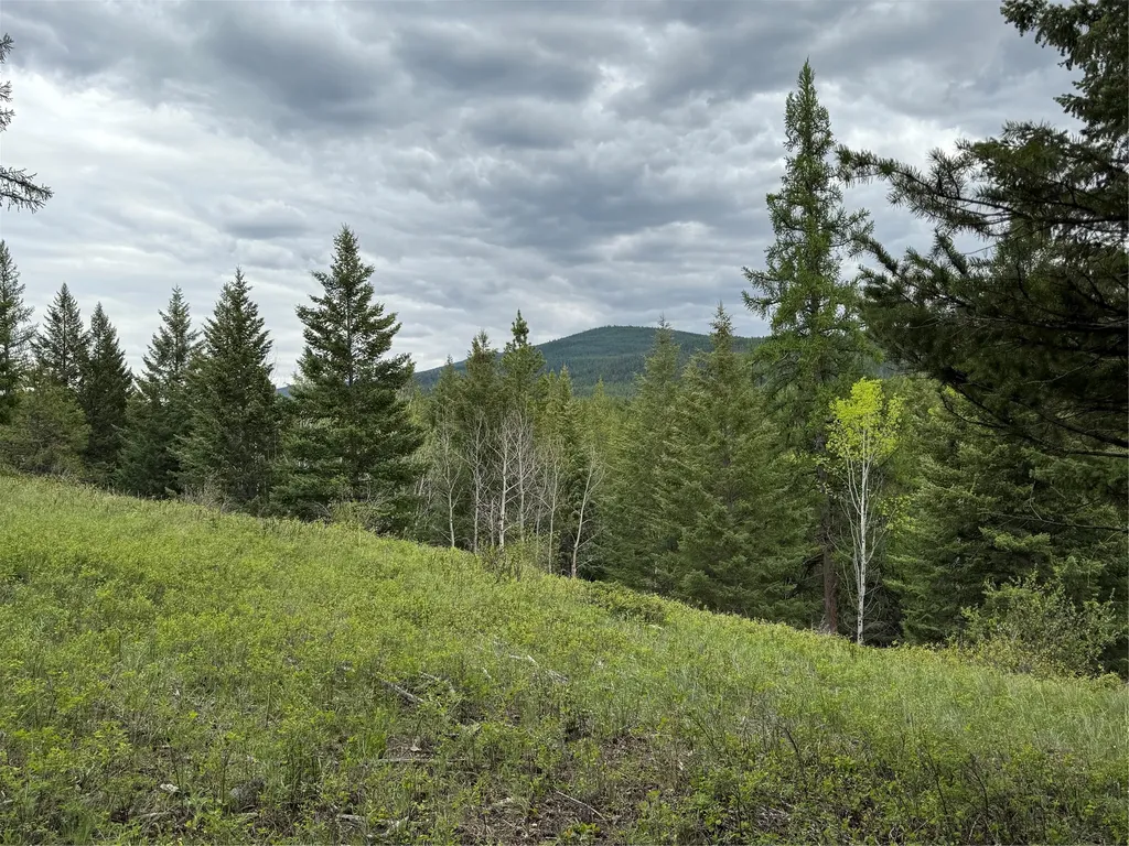Nhn Lagoon Drive Trego MT 59934