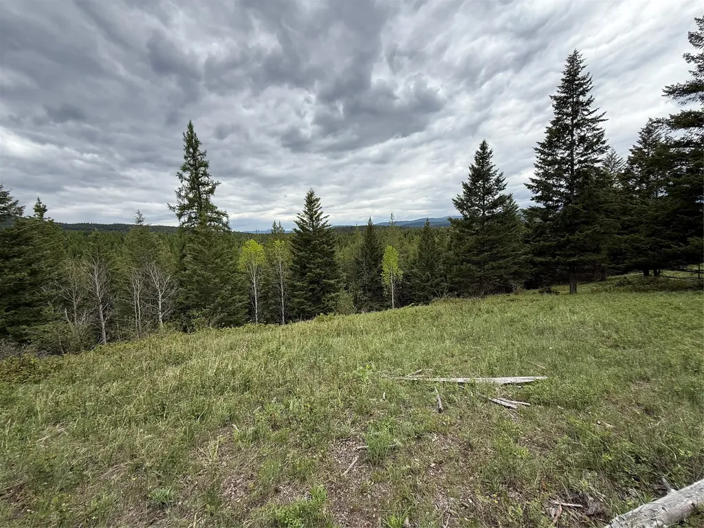 Nhn Lagoon Drive Trego MT 59934