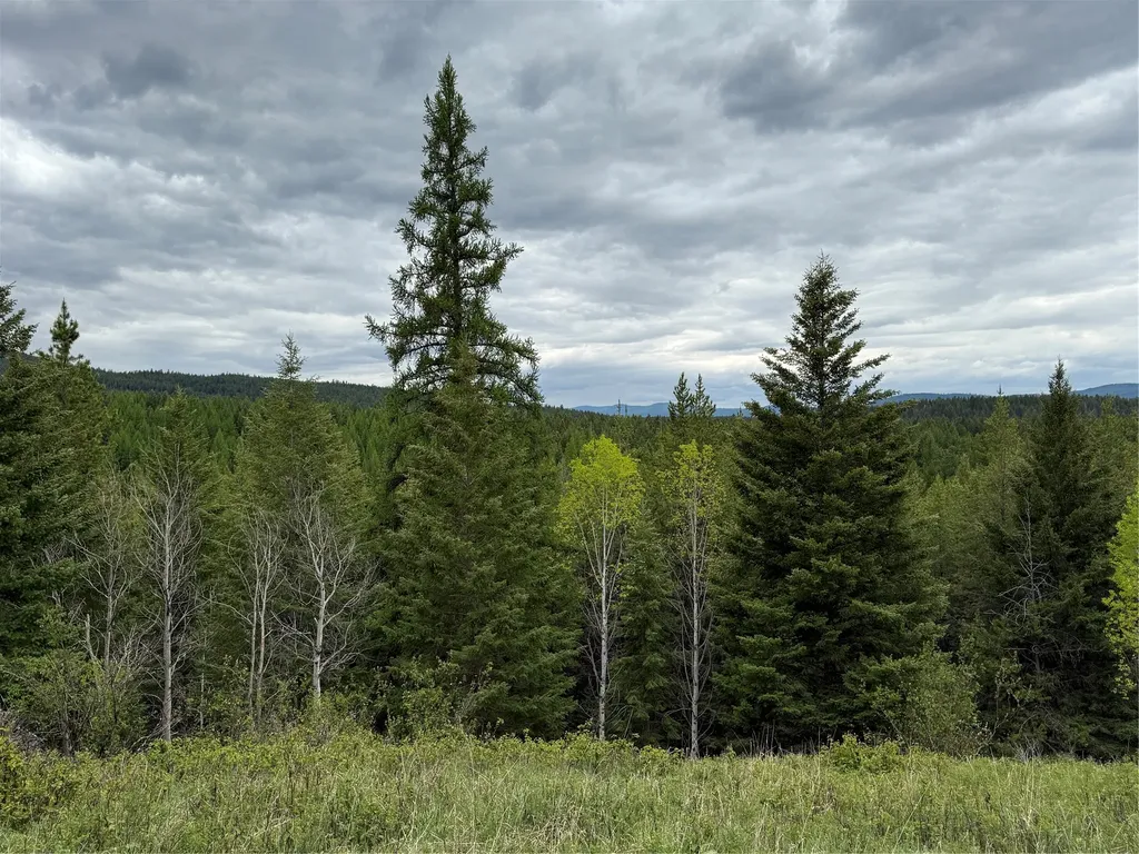 Nhn Lagoon Drive Trego MT 59934