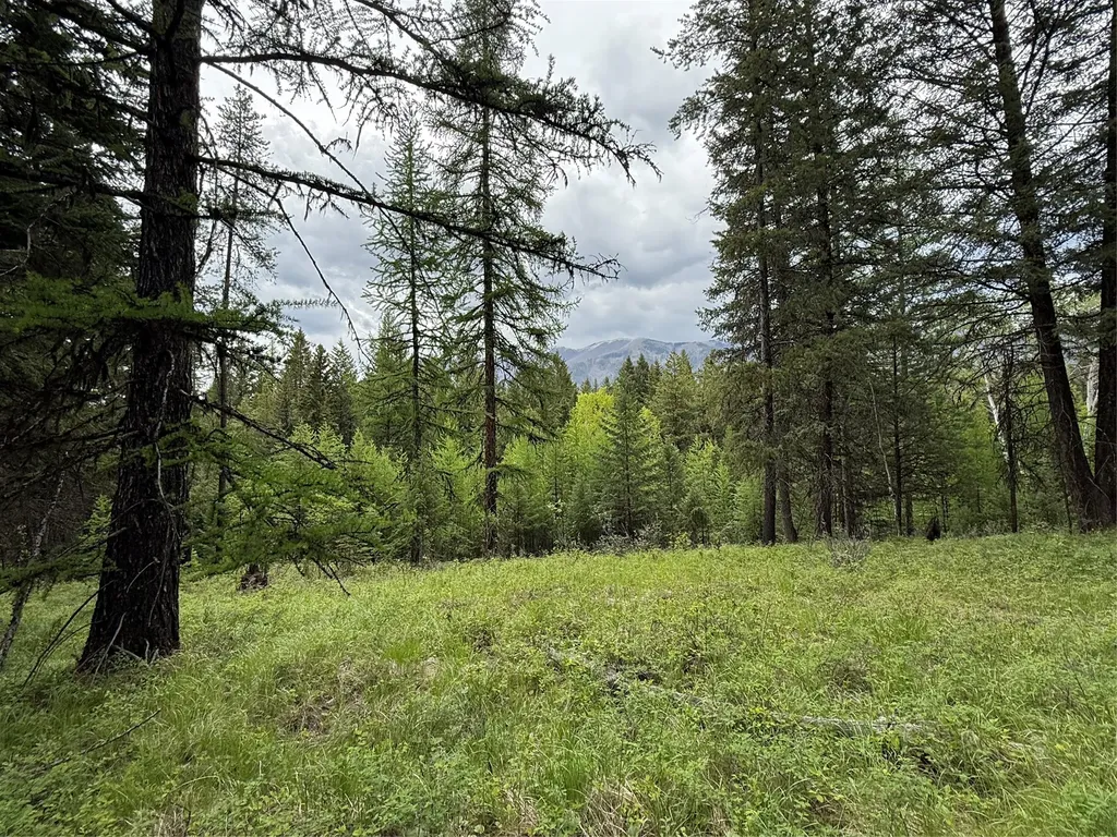 Nhn Lagoon Drive Trego MT 59934
