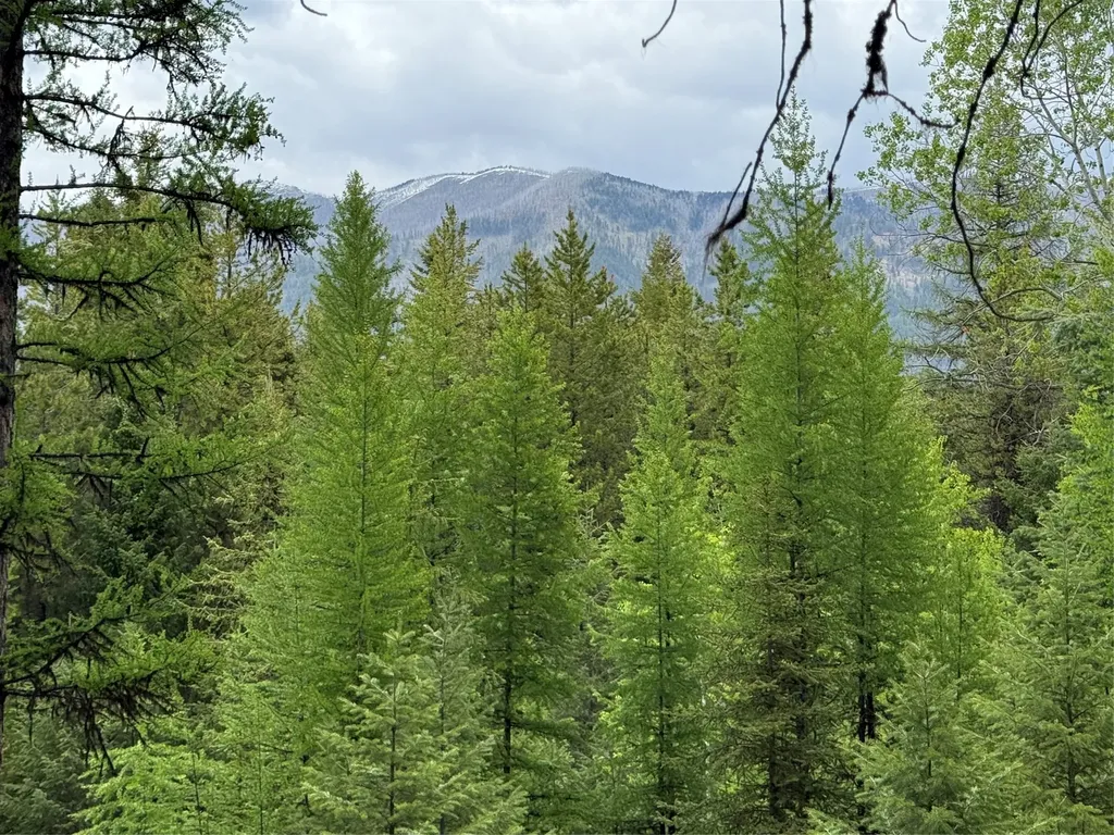 Nhn Lagoon Drive Trego MT 59934