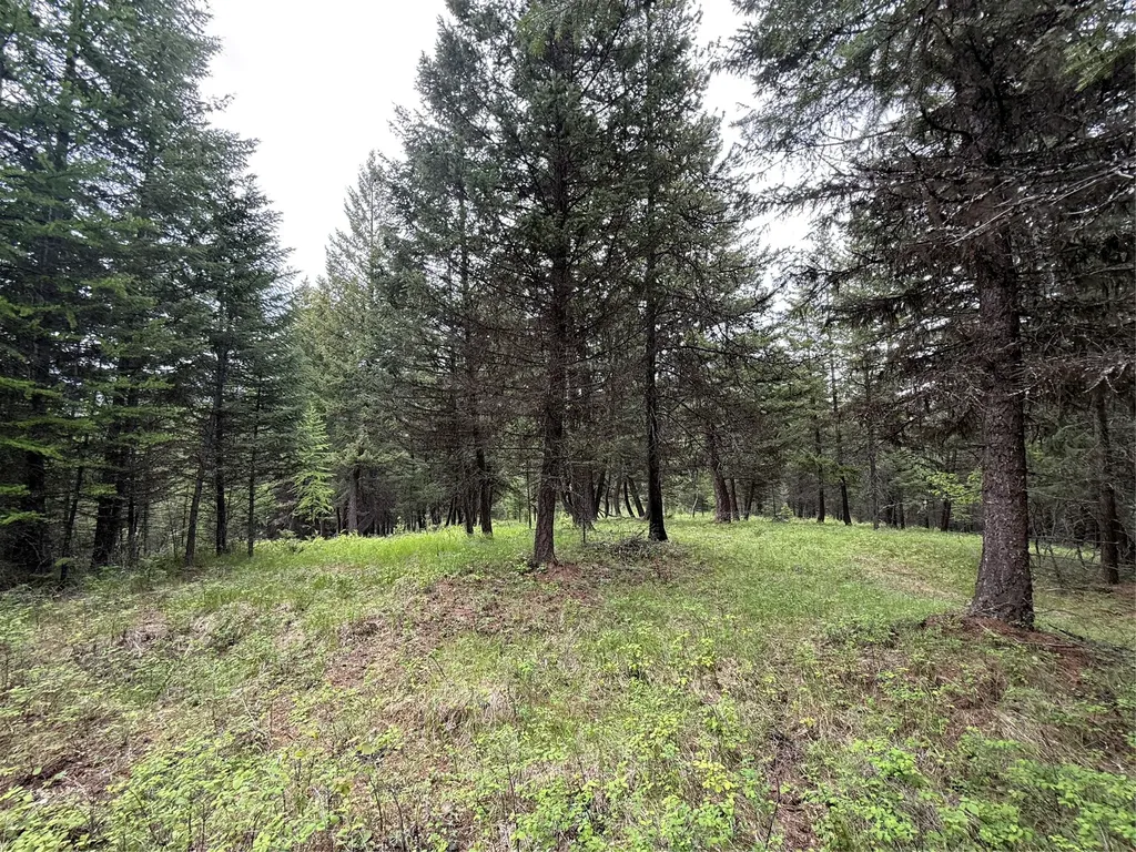 Nhn Lagoon Drive Trego MT 59934