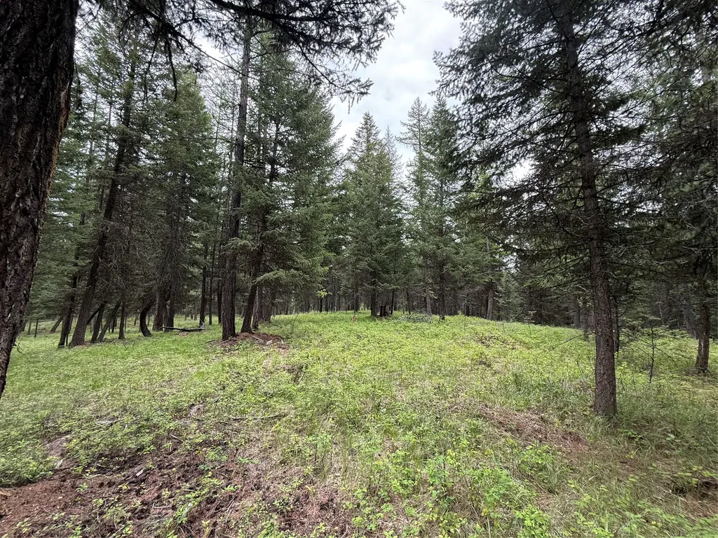 Nhn Lagoon Drive Trego MT 59934