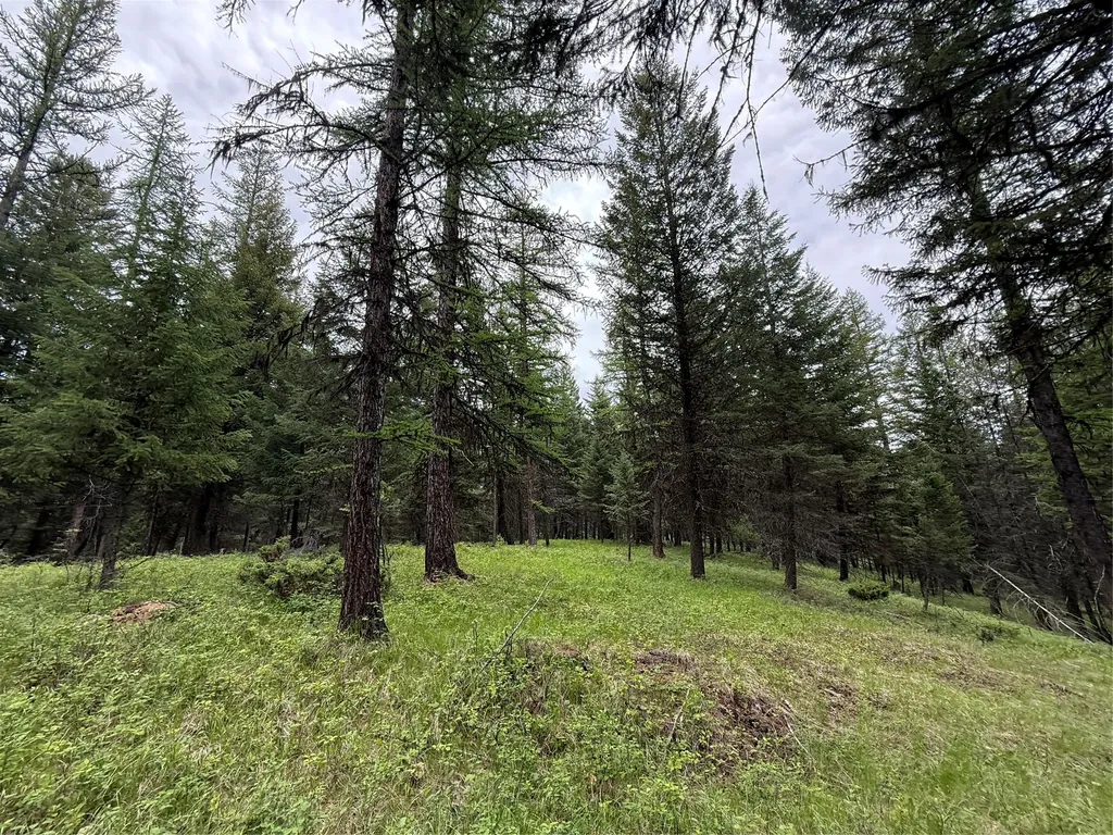 Nhn Lagoon Drive Trego MT 59934