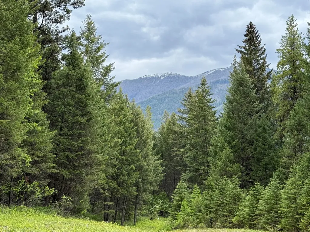Nhn Lagoon Drive Trego MT 59934