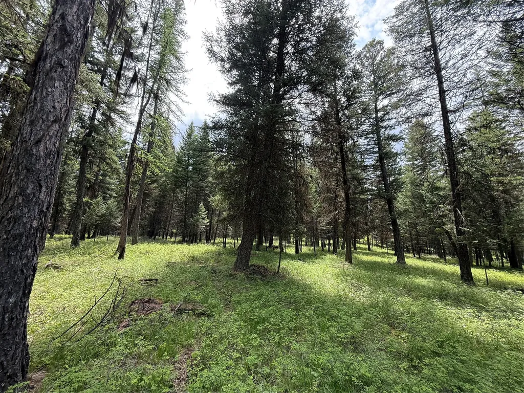 Nhn Lagoon Drive Trego MT 59934