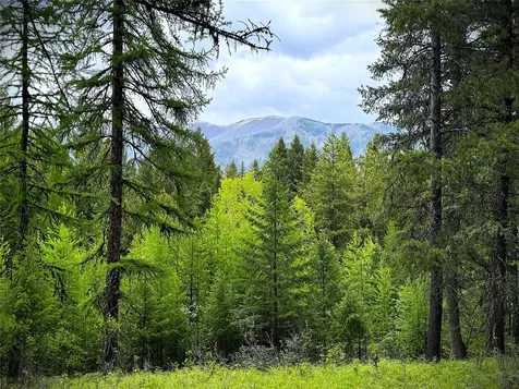 NHN Lagoon Drive Trego MT 59934