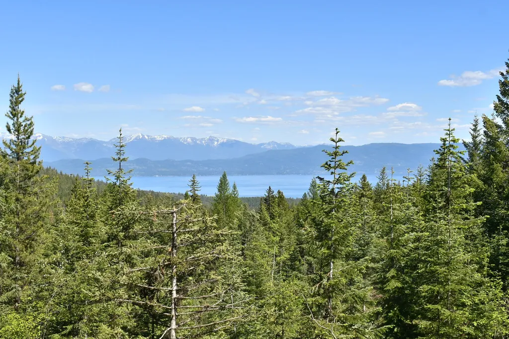 1520 Bierney Creek Road Lakeside MT 59922