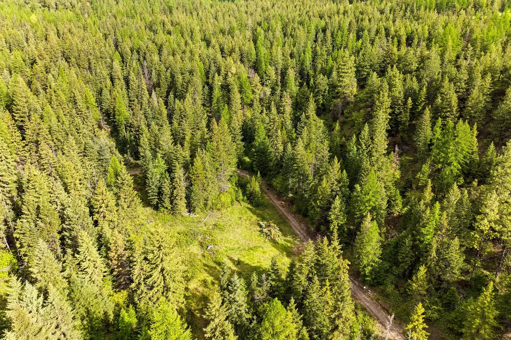 1520 Bierney Creek Road Lakeside MT 59922