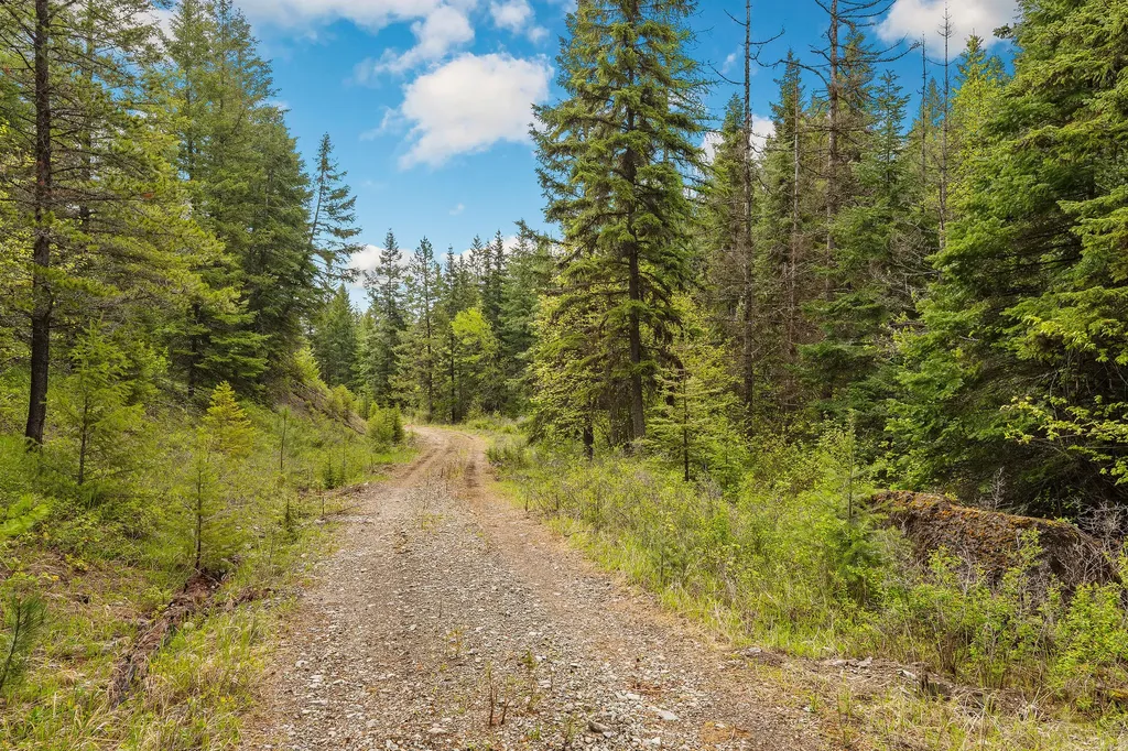 1520 Bierney Creek Road Lakeside MT 59922