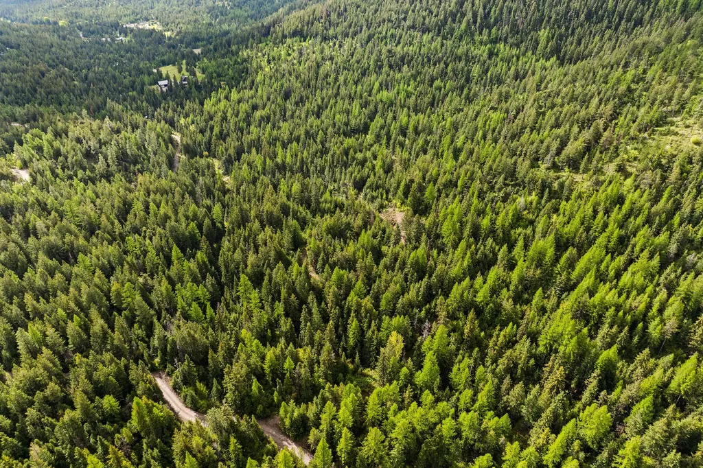 1520 Bierney Creek Road Lakeside MT 59922