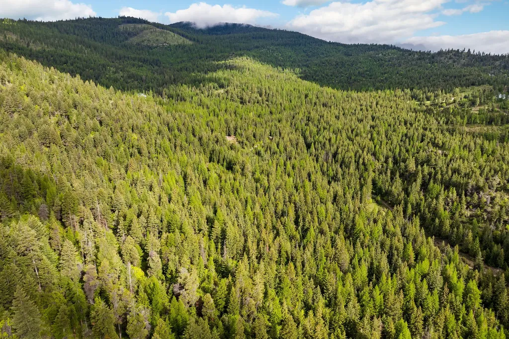 1520 Bierney Creek Road Lakeside MT 59922