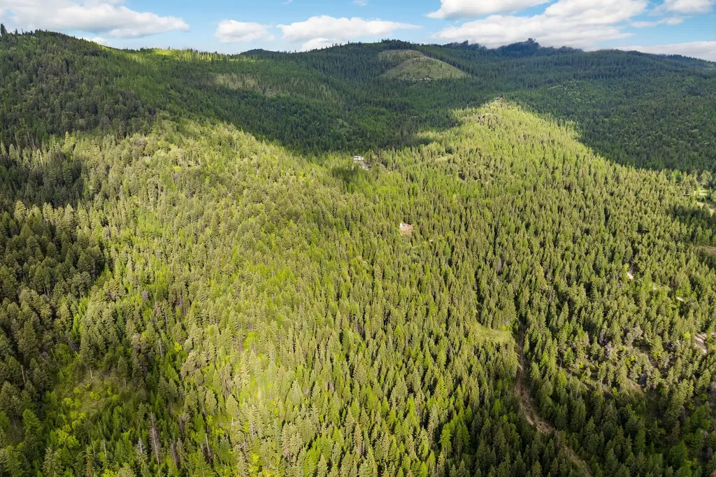 1520 Bierney Creek Road Lakeside MT 59922