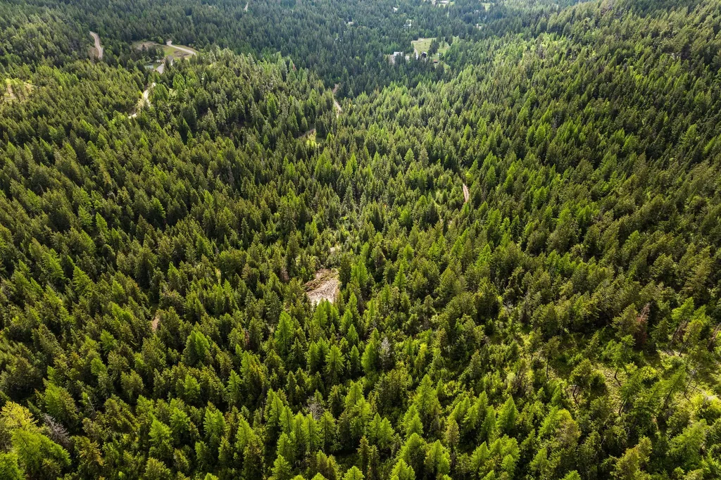 1520 Bierney Creek Road Lakeside MT 59922