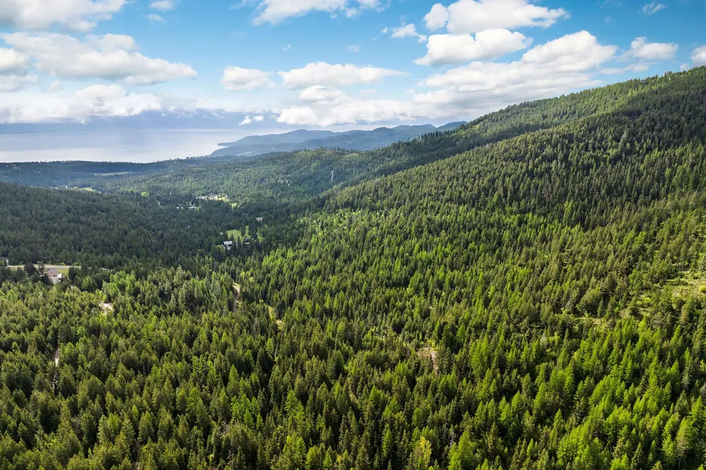 1520 Bierney Creek Road Lakeside MT 59922