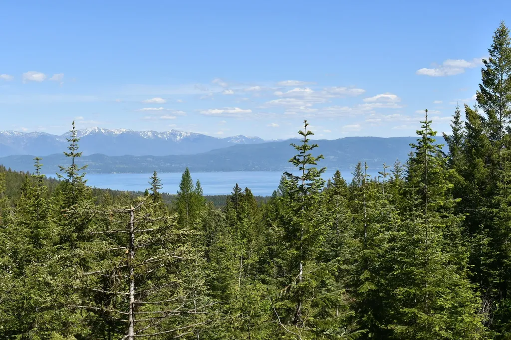 1520 Bierney Creek Road Lakeside MT 59922