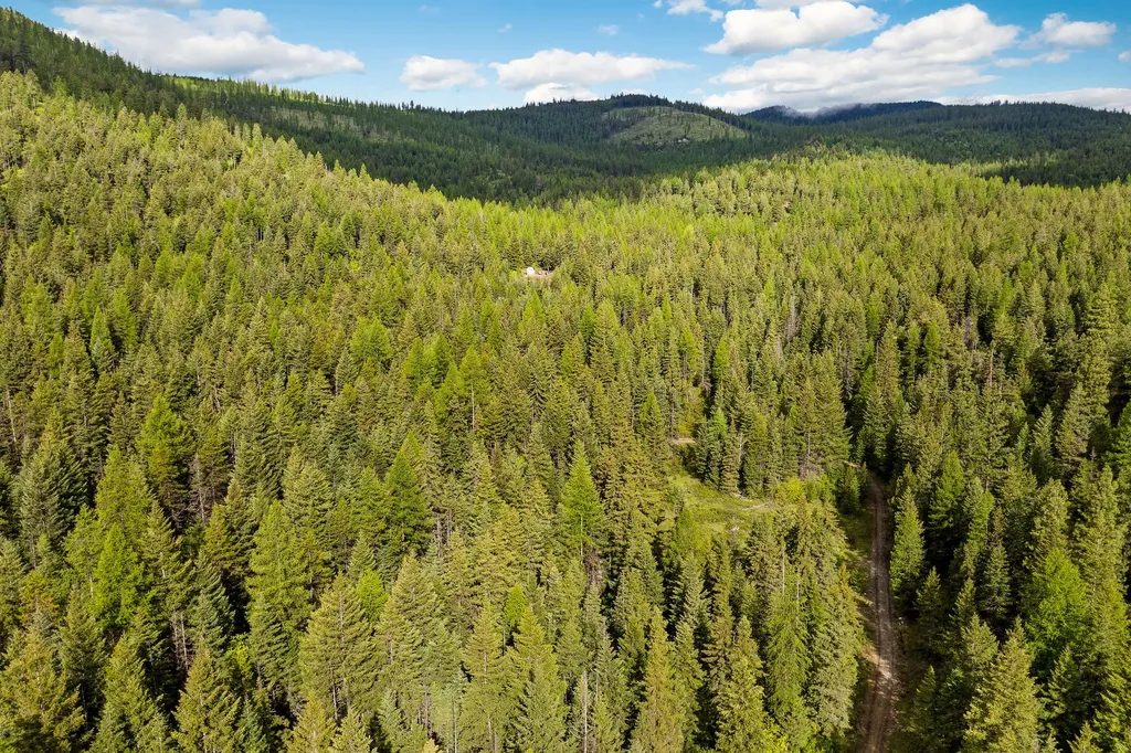1520 Bierney Creek Road Lakeside MT 59922