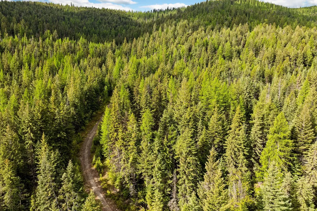 1520 Bierney Creek Road Lakeside MT 59922
