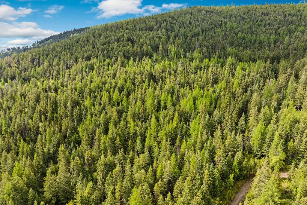 1520 Bierney Creek Road Lakeside MT 59922