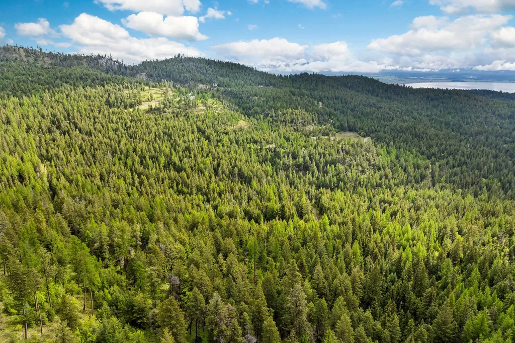 1520 Bierney Creek Road Lakeside MT 59922