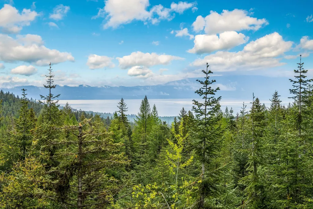 1520 Bierney Creek Road Lakeside MT 59922